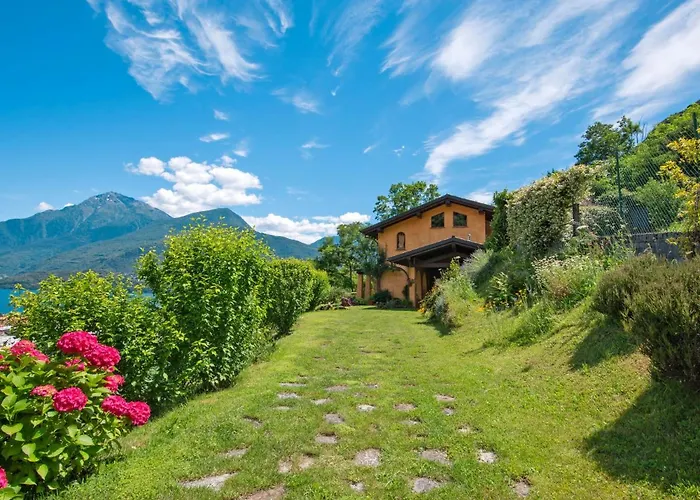 Madda By Interhome Dongo